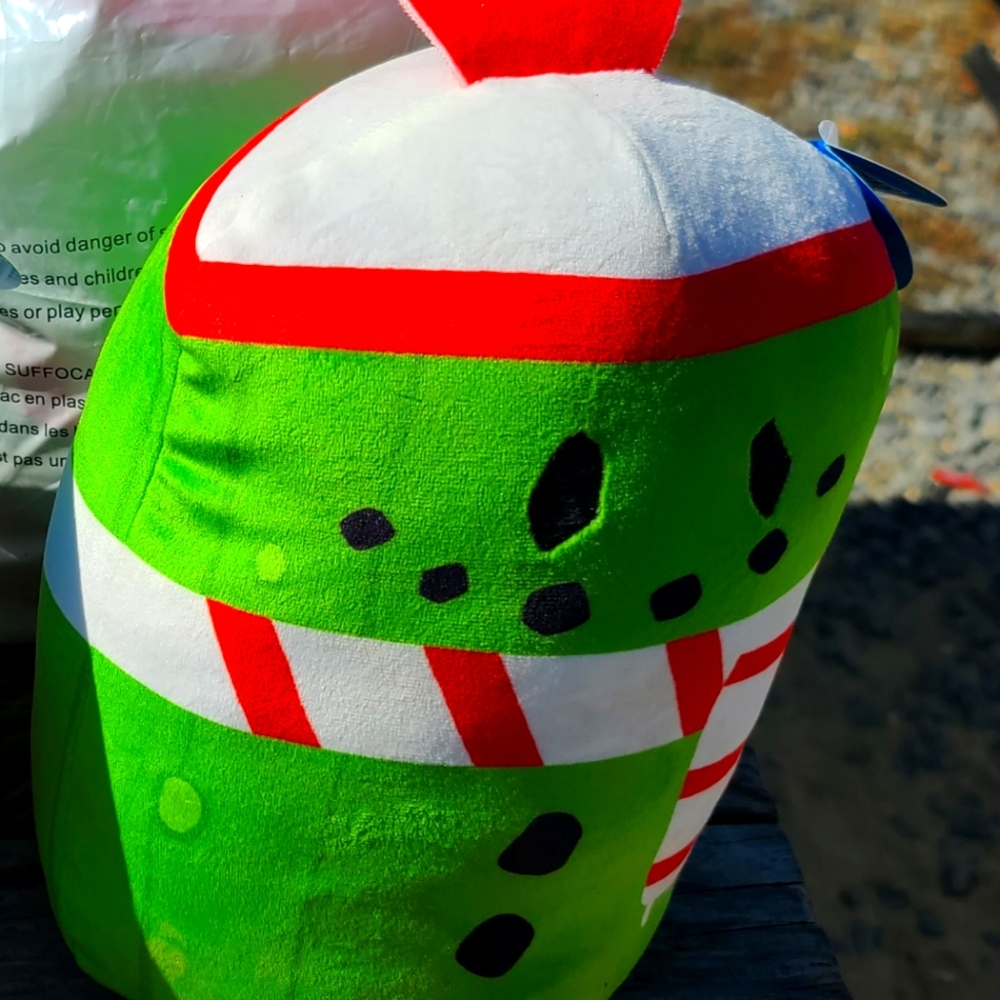 Toy Cat vs Pickle